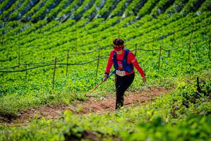 BIB: 
                            <button type="button" onclick="openModal(19163053)" class="btn btn-primary btn-sm float-right btn-popup" data-toggle="modal" data-target=".modal-high-quality">
                        <i class="fas fa-shopping-cart"></i> Add to Cart
                    </button>
                                            <button type="button" onclick="isThisMe(19163053, true)" class="btn btn-success btn-sm float-right btn-popup btn-isme hidden" data-toggle="tooltip" data-placement="bottom" title="นี่คือรูปของคุณใช่ไหม คลิกที่นี่เพื่อเอาเข้าอัลบั้ม">
                        <i class="fas fa-plus"></i> Add to album
                    </button>
                    <button type="button" onclick="isThisMe(19163053, false)" class="btn btn-warning btn-sm float-right btn-popup btn-isnotme hidden">
                        <i class="fas fa-ban"></i> Remove from album
                    </button>